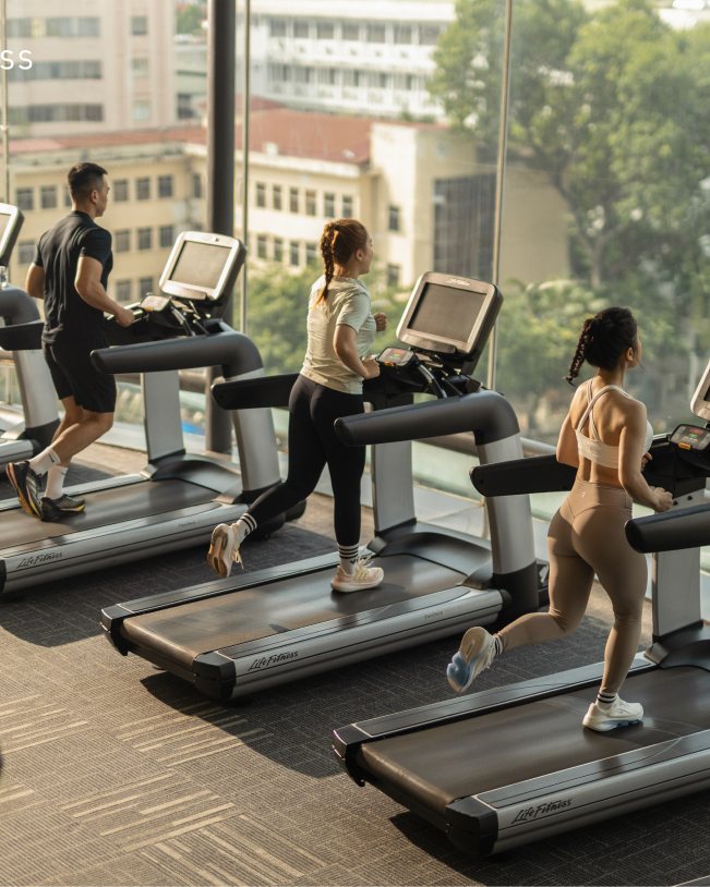 Elite Fitness